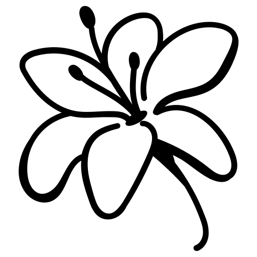PRODUCTOS ÚNICOS