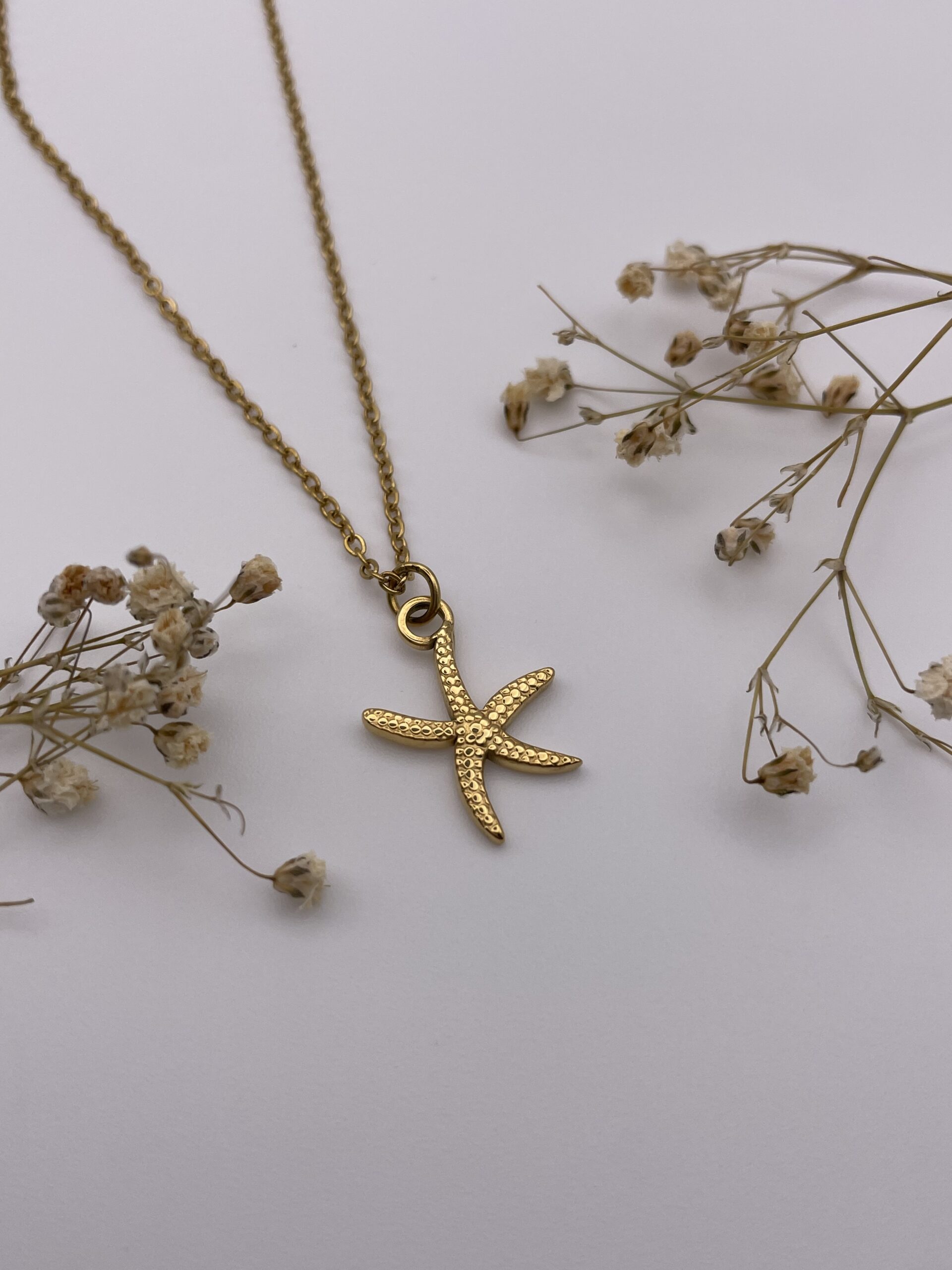 Collar estrella marina