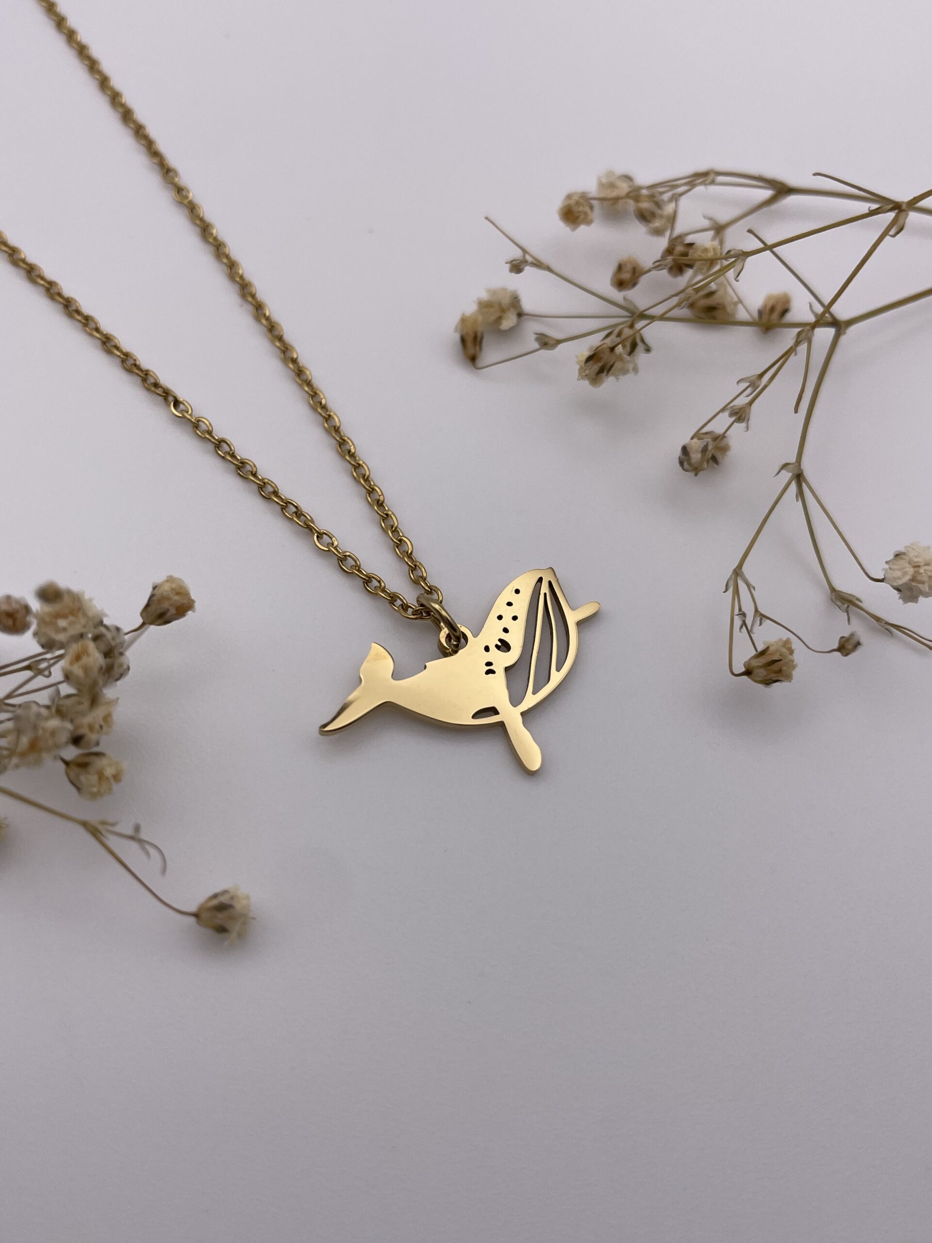 Collar ballena
