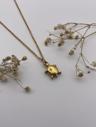 Collar tortuga