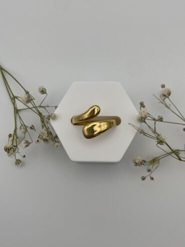 Anillo clasic