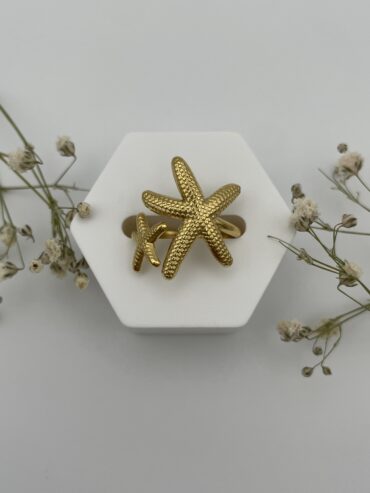 Anillo estrella doble