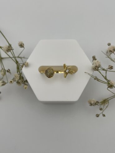 Anillo marino